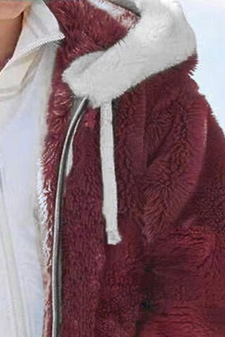 Zip-Up Hooded Teddy Coat - GemThreads Boutique